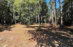 Owensville Rd, Milton, FL 32583
