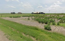 Dahlia CIR, Lyford, TX 78569