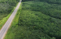 State Highway 13, Prentice, WI 54556