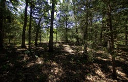 Tract 3&4 Simpson Rd, Urbana, MO 65767