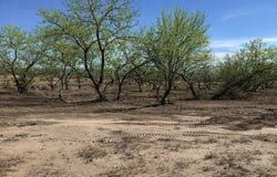105 SYLAS HAYES LOOP, Pleasanton, TX 78064