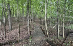 TBD Ankrapp Road, Columbus, MI 48063