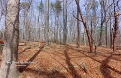 Johnson Farm Road, Pilot Mountain, NC 27041