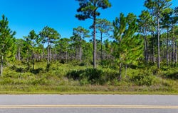248 Smith St lot: 18, Eastpoint, FL 32328