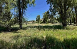 769 & 784 Bareback Lane, Durango, CO 81303