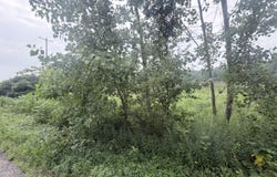 Parcel A Holt Highway, Dimondale, MI 48821
