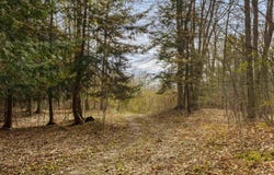 00 BENZIE HIGHWAY, BENZONIA, MI 49616