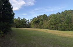 27.74 Acre Highway 13, Lumberton, MS 39455