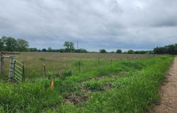 CR 15560, Paris, TX 75462