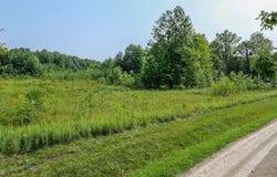4523 Plank Road, Orwell, OH 44076