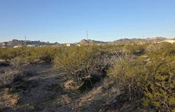 306-44-005C Estrella, Golden Valley, AZ 86413