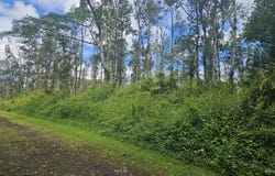 HAWAII RD, Pahoa, HI 96778