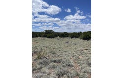 18 Pate Lane, Concho, AZ 85924