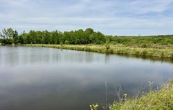 00001 County Road 204, Tiplersville, MS 38674