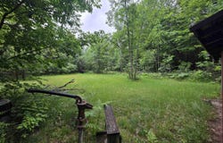 6300 Kerr Trail, Hale, MI 48739