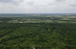 County Road 4245, Bonham, TX 75418