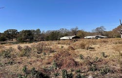 PINK HILL/State 56 E Highway, Bells, TX 75414