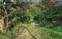 N County Line Road, Watervliet, MI 49098