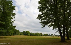 10719 Highway 178, Olive Branch, MS 38654