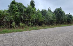 446 Riverside Dr, Bastrop, TX 78602