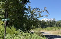 Lahar Ln, Cougar, WA 98616