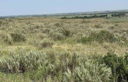 E County Rd 49, Shattuck, OK 73858