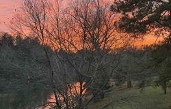 850 tbd EMERSON DR lot: 059C1-02-00-03000, CHARLOTTESVILLE, VA 22901
