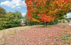 295 N 20TH Pl, Ridgefield, WA 98642