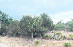 W Briarway Drive lot: 281 & 282, Granite Shoals, TX 78654