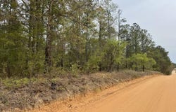 Goose Platter Road, Monetta, SC 29105