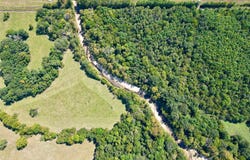 0 Hwy 21, Pine Apple, AL 36768