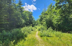Ledgewood Road, Conway, NH 03860