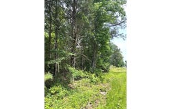 253 acre Hwy 185, Hodges, SC 29653