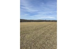 Tract 1 County Road 14-534, Ava, MO 65608