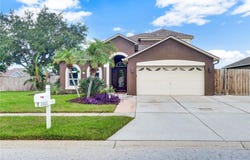 2002 RAIN DANCE Place, BRANDON, FL 33510