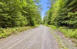 38 F Lang Road, Bath, NH 03740