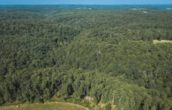Tract 3 Private Drive, Norwood, MO 65717