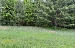 Butternut Ridge Rd, Potsdam, NY 13676