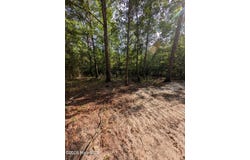 Peyton Drive lot: 2R-2, Eagle Springs, NC 27242