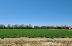 E State Farm Development Parcel 1, North Platte, NE 69101