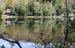 Trout Brook Road, Roscoe, NY 12736