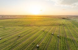 N 2240 Rd, Hobart, OK 73651