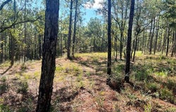 State Highway 225, Bay Minette, AL 36507