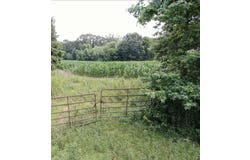 DORSE Rd, Unincorporated, TN 38057