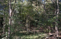 CR-368, Section, AL 35771