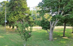604 E Walnut Street, Blue Mound, KS 66010