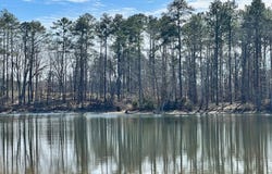 106 Admirals Point, Leesville, SC 29070