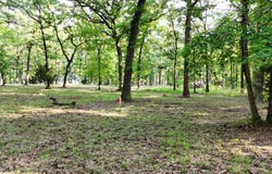 Anchor Point lot: 62, Quinlan, TX 75474