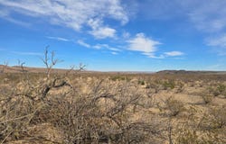 21508 Caliche Rd, Terlingua, TX 79852