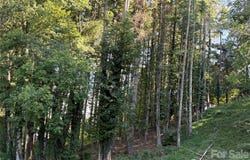 51 Barebridge Fields Road, Burnsville, NC 2874